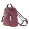 Burgundy textured leather mini backpack with a top handle, front zip pocket, and sleek silver hardware accents side view